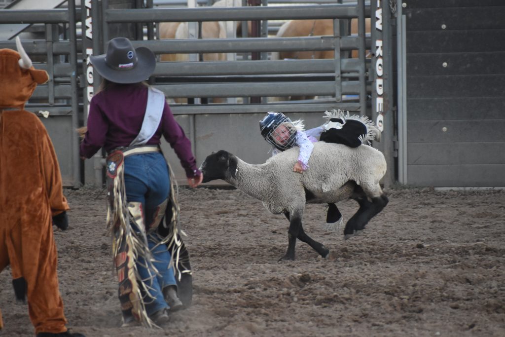 PHOTOS: Younger ones blast out the chutes at Garfield County Fair and Rodeo - Vimarsana News